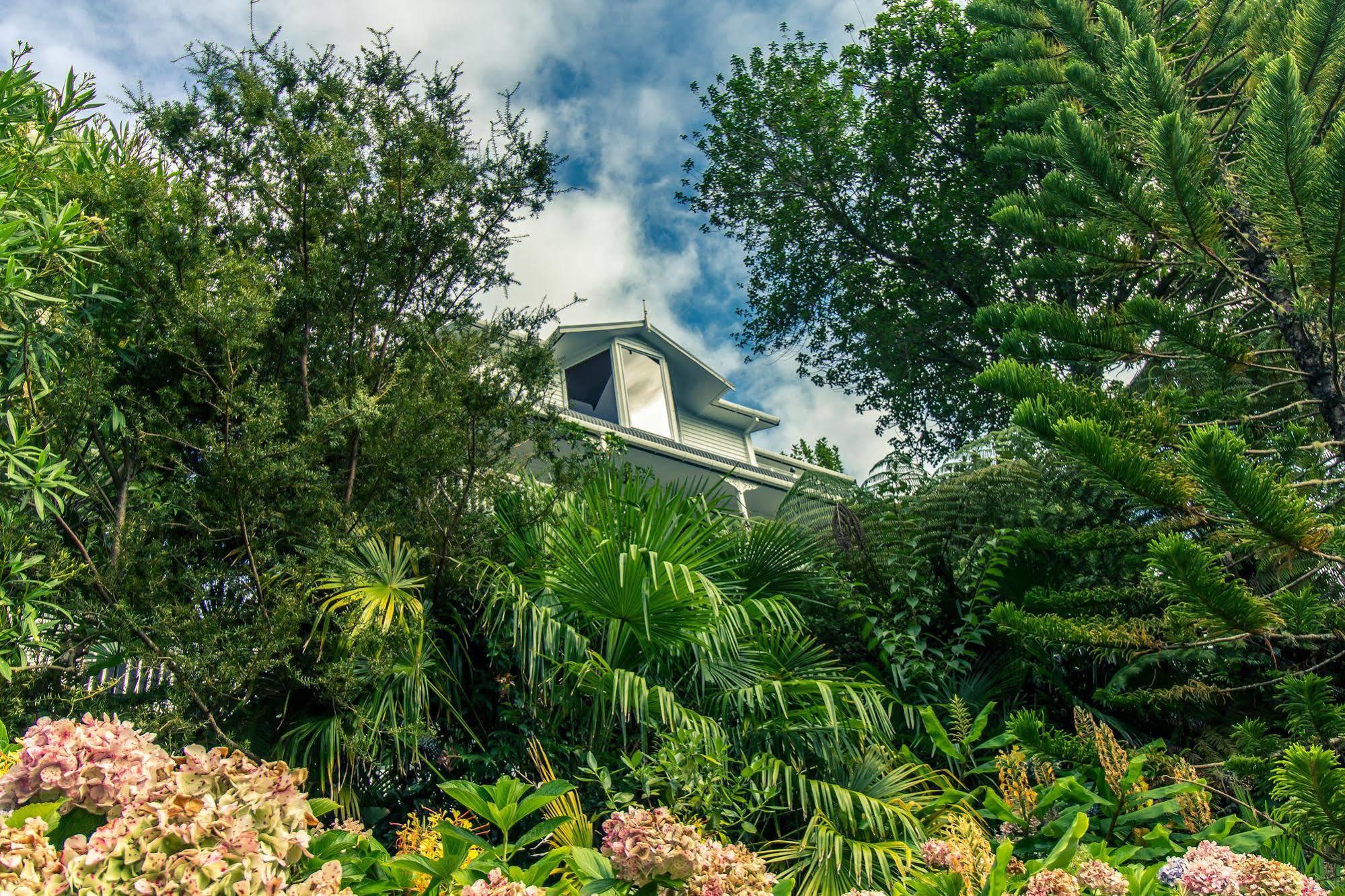 Marlin House Bed and Breakfast Paihia Eksteriør billede